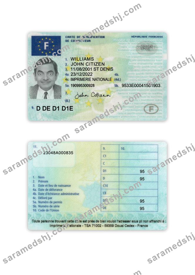 France driving license 2022-present